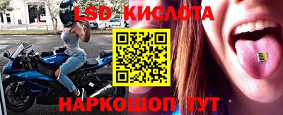 СК Волгодонск